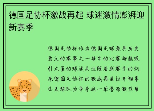 德国足协杯激战再起 球迷激情澎湃迎新赛季